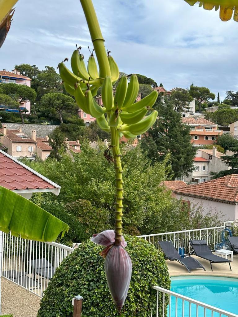 Hotel La Fiancee Du Pirate Villefranche-sur-Mer Exterior photo